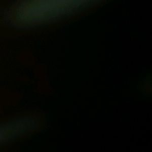 Meet your Posher, Rosa